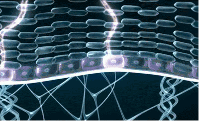 1622905539736164.gif 20201225160888572796383.gif